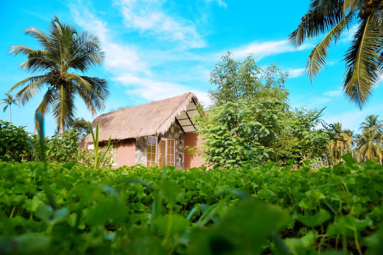 Coco Village Hotel Chilaw Bangadeniya Exterior photo